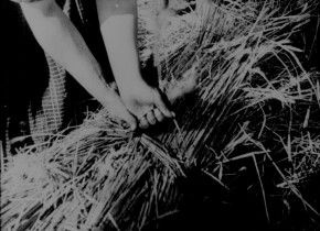 Kino-Pravda 17: Kino-Pravda 17