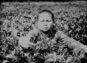 Kino-Pravda 22: Kino-Pravda 22